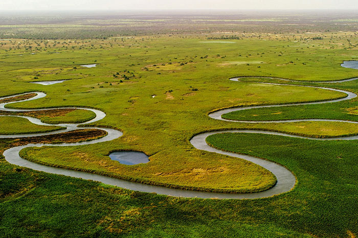 Okavango Panhandle