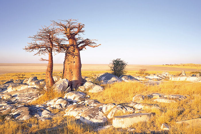 Makgadikgadi Salt Pans